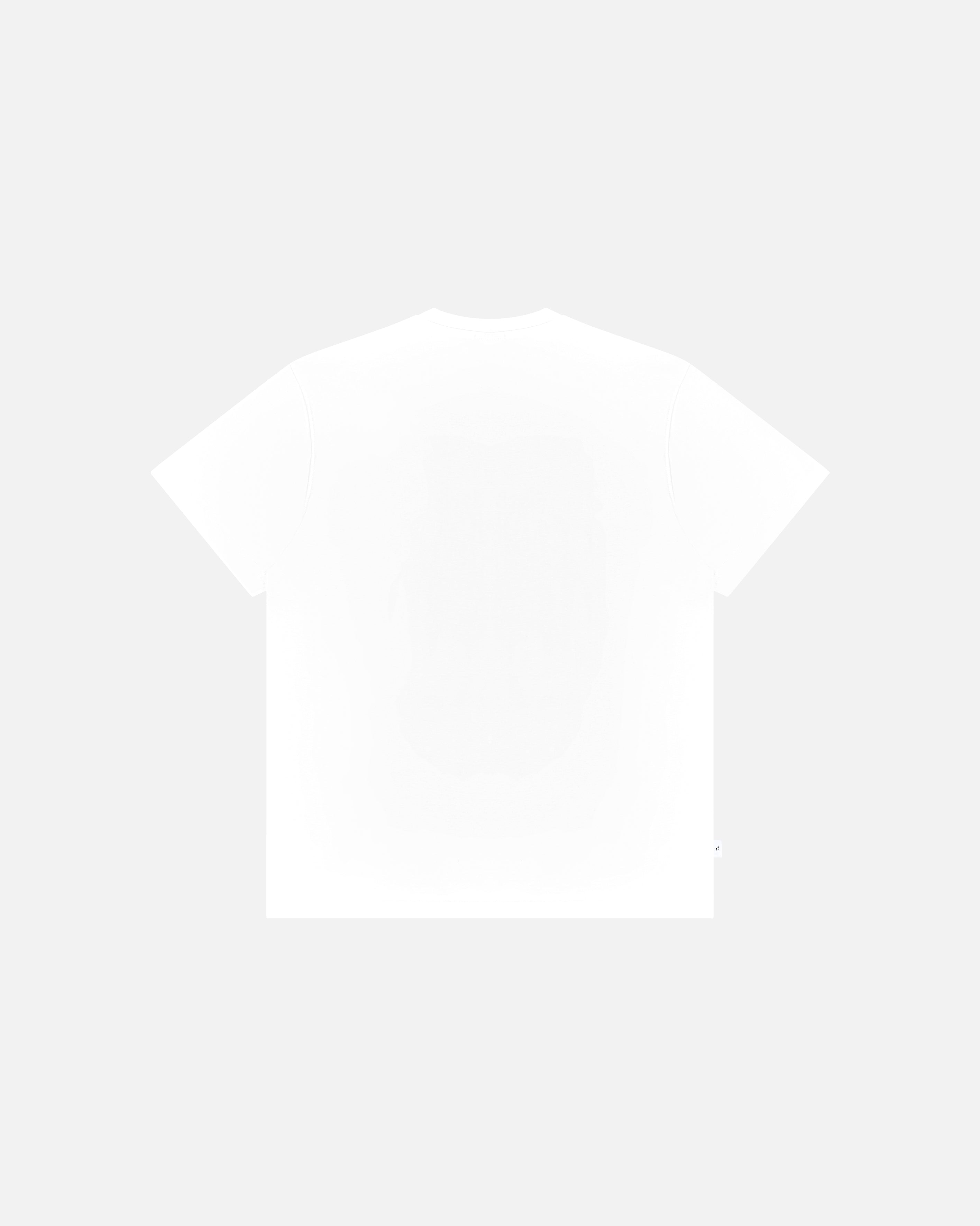 ART OF x Forest Home Pickles Tee | White Graphic Football T-shirt